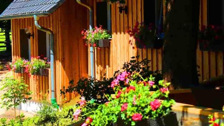 Hof Stallegg Löffingen Kültér fotó
