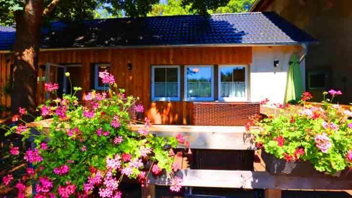Hof Stallegg Löffingen Kültér fotó